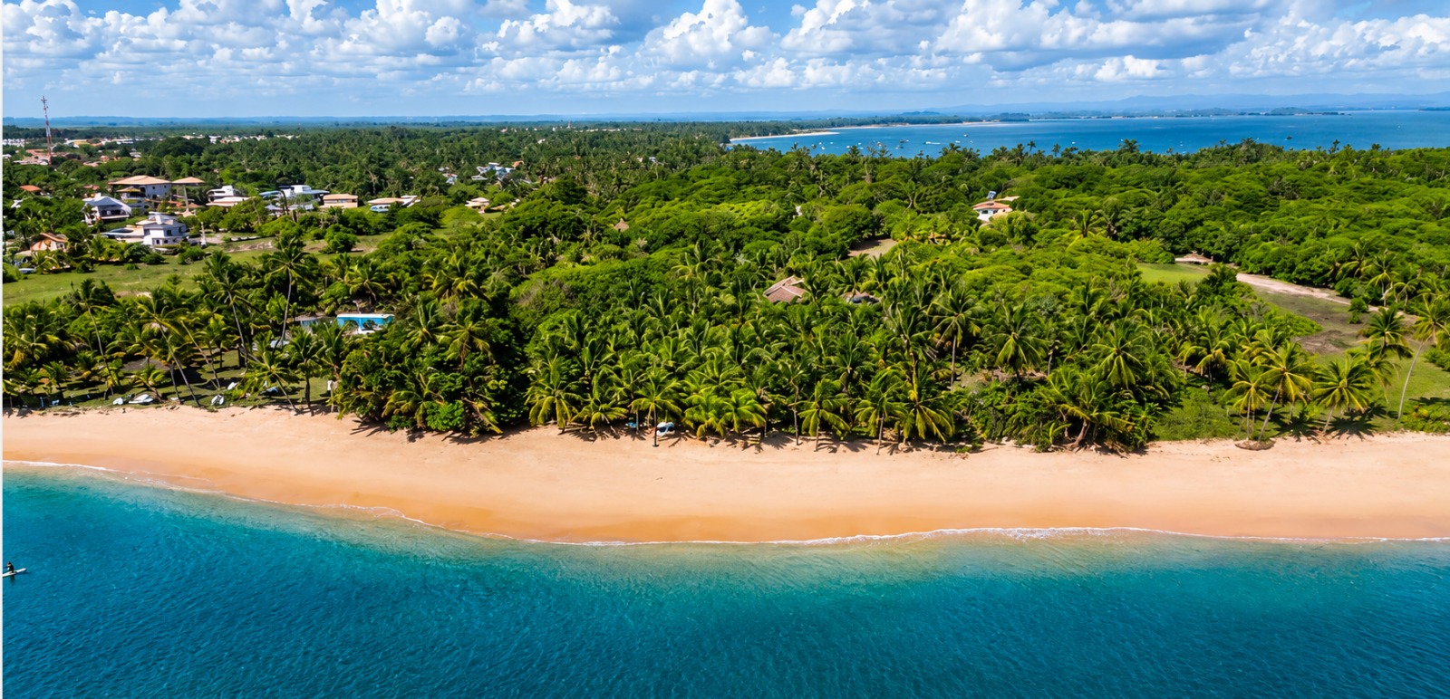 Vista aérea da praia de Barra Grande com coqueiral, areia dourada e mar azul-turquesa